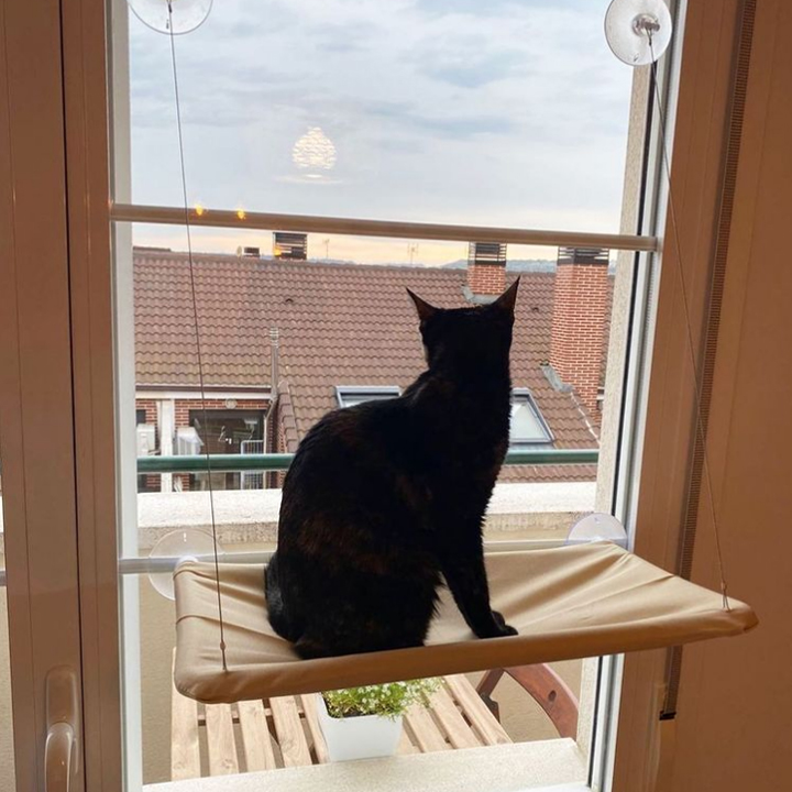 The Lookout Window Cat Hammock - Image 11