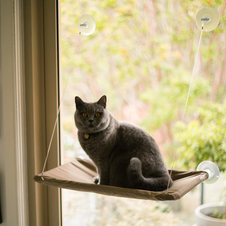 The Lookout Window Cat Hammock - Image 6