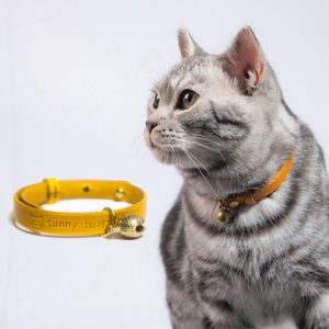 Leather Personalized Custom Cat Collar
