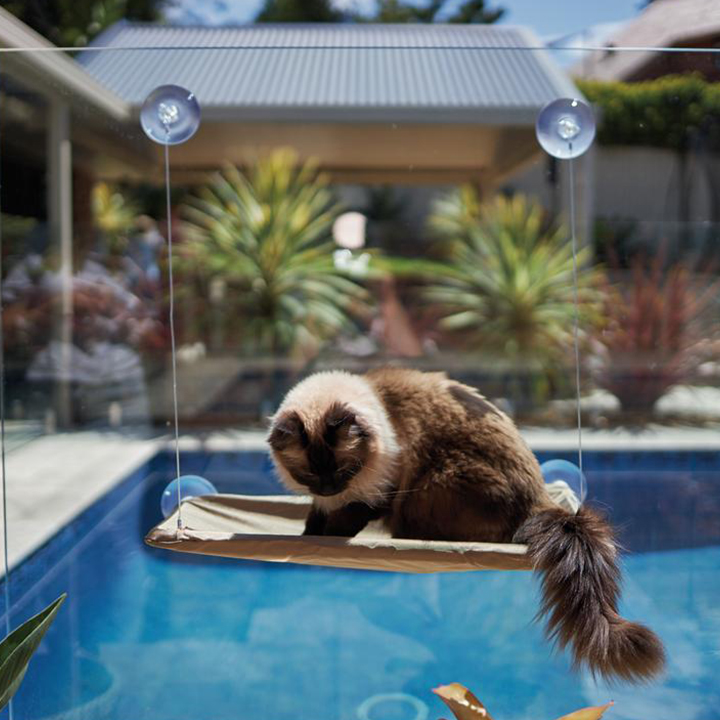 The Lookout Window Cat Hammock - Image 10