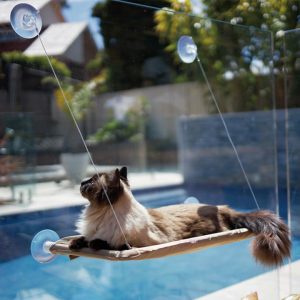 The Lookout Window Cat Hammock