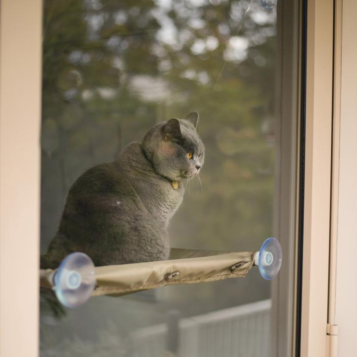 The Lookout Window Cat Hammock - Image 4