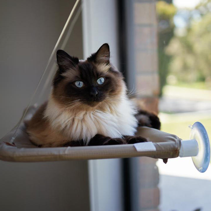 The Lookout Window Cat Hammock - Image 9